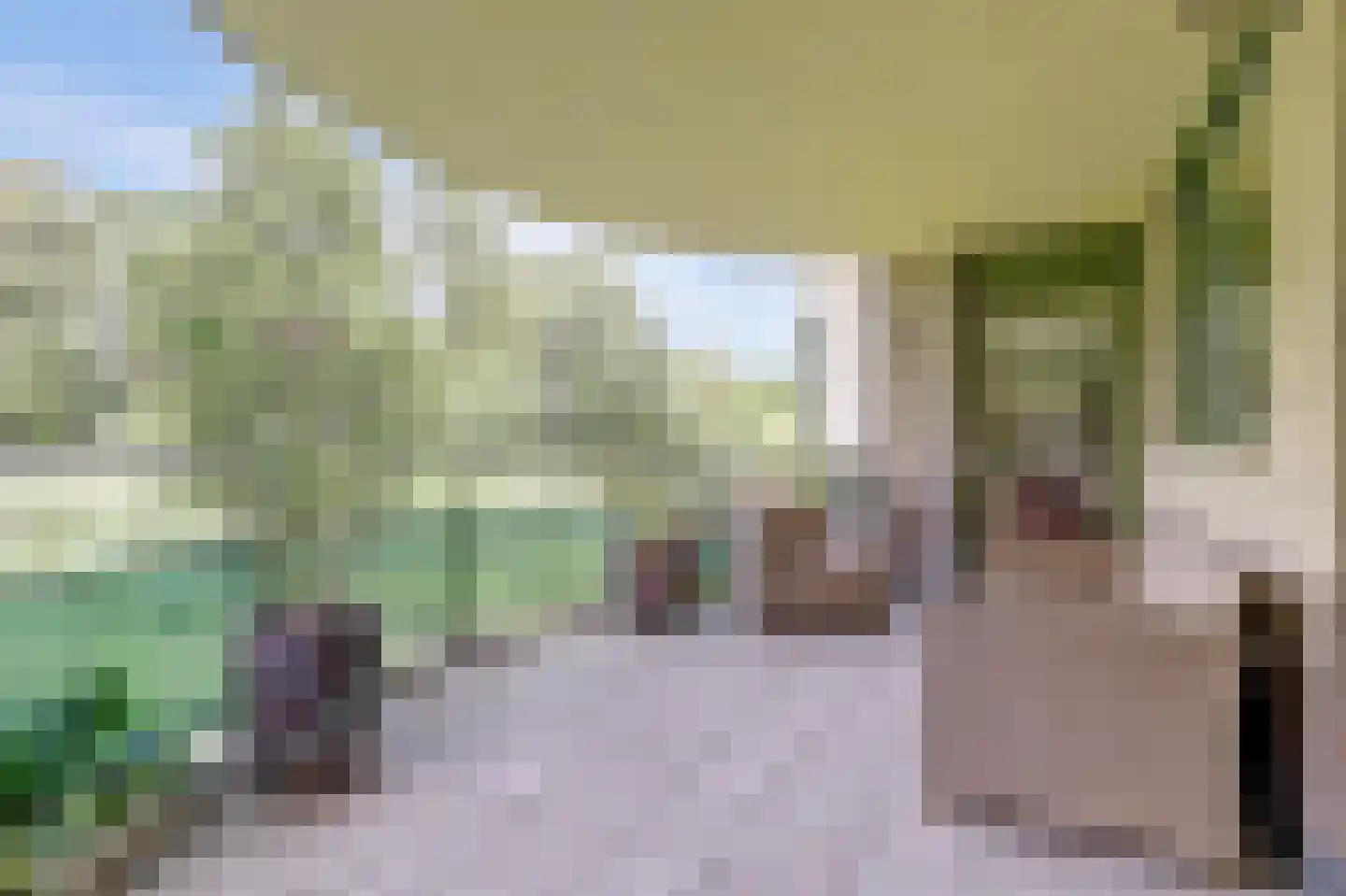 Anna Paulownaplein 6 Goes thumbnail 23
