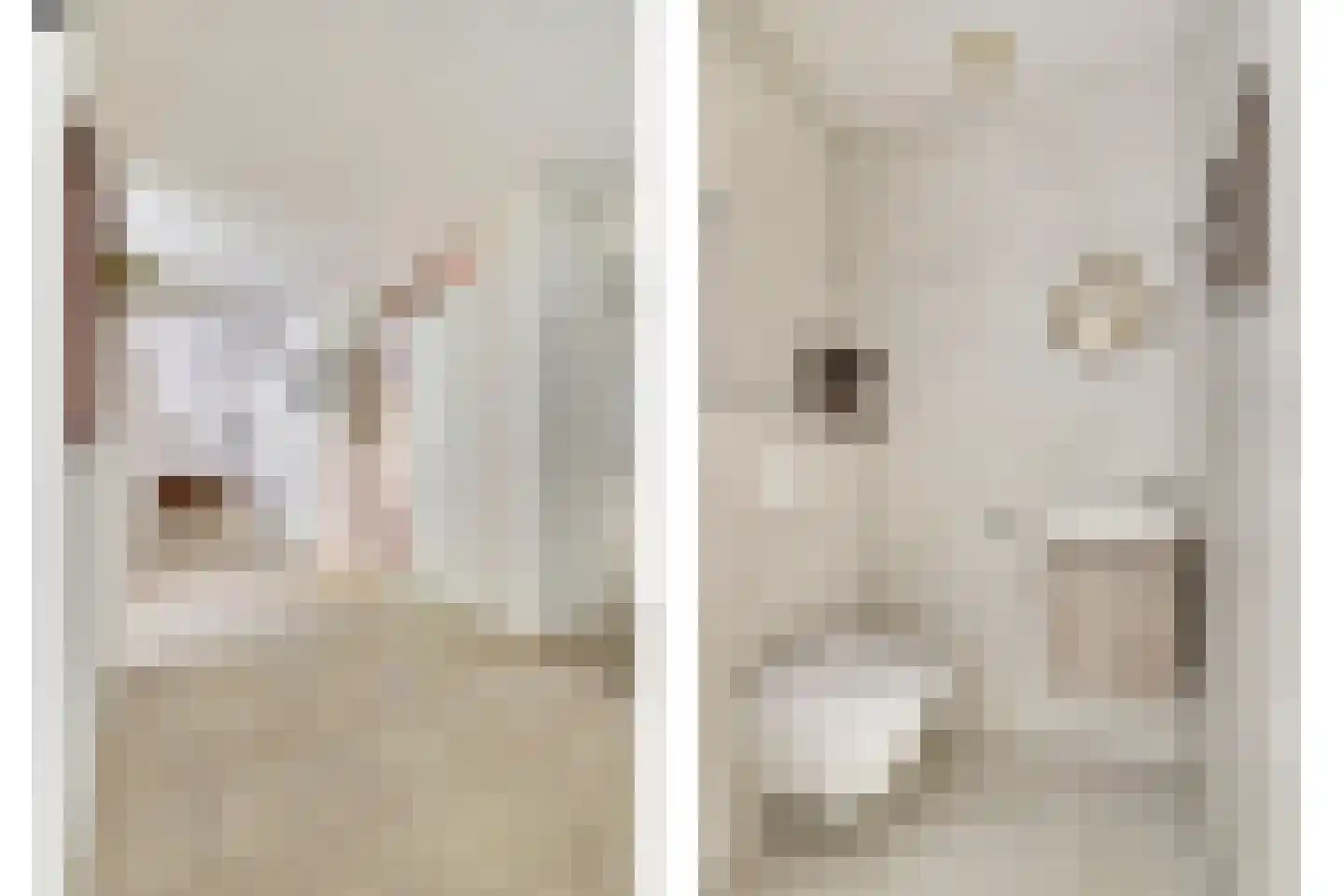 Anna Paulownaplein 6 Goes thumbnail 4