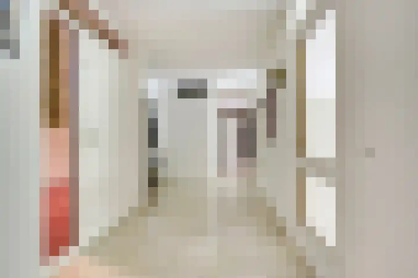 Anna Paulownaplein 6 Goes thumbnail 5