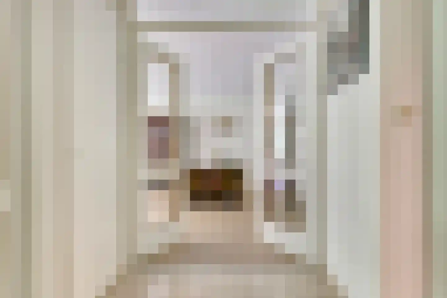 Anna Paulownaplein 6 Goes thumbnail 6