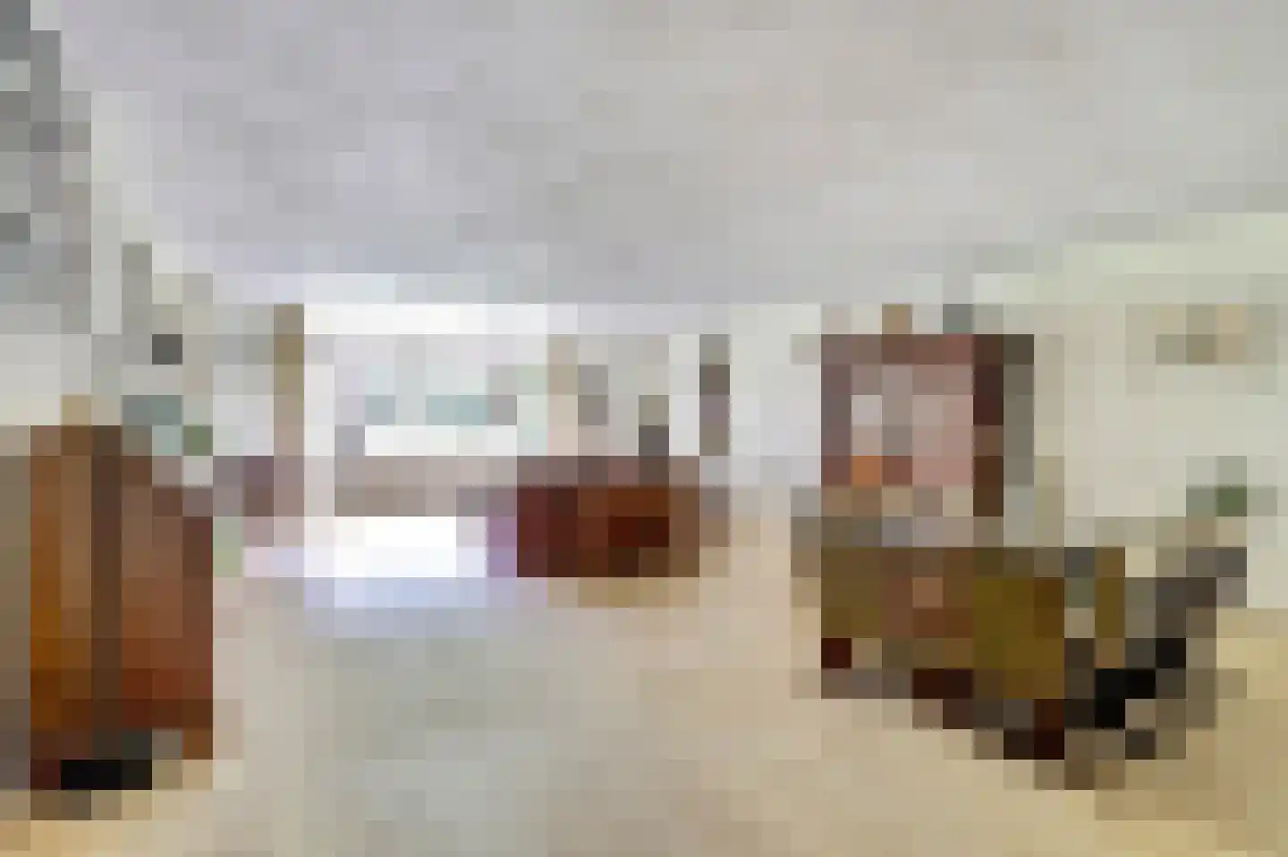 Anna Paulownaplein 6 Goes thumbnail 8