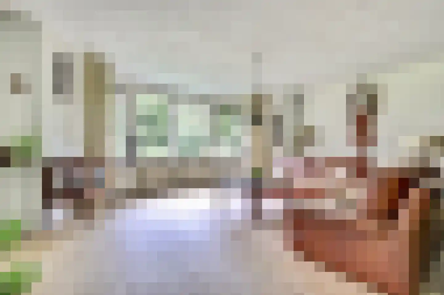 Anna Paulownaplein 6 Goes thumbnail 9