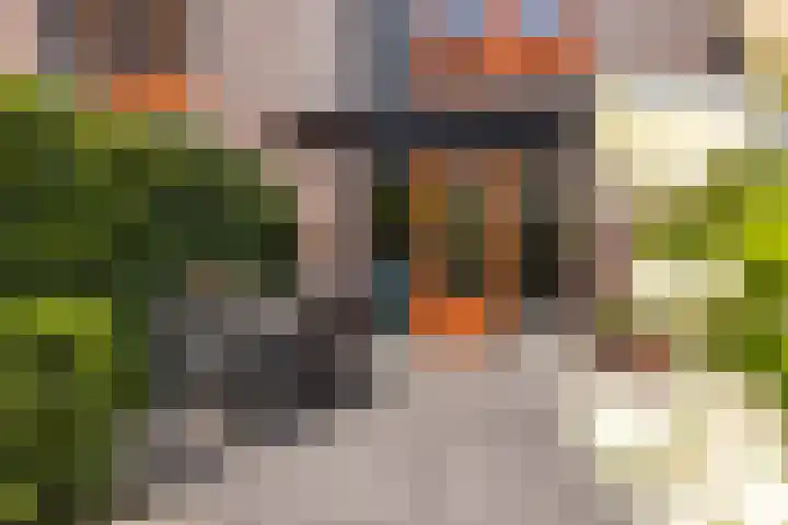 Anna Paulownastraat 1 d Groningen thumbnail 38
