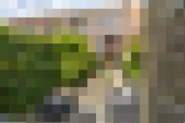 Anna Paulownastraat 1 d Groningen thumbnail 43