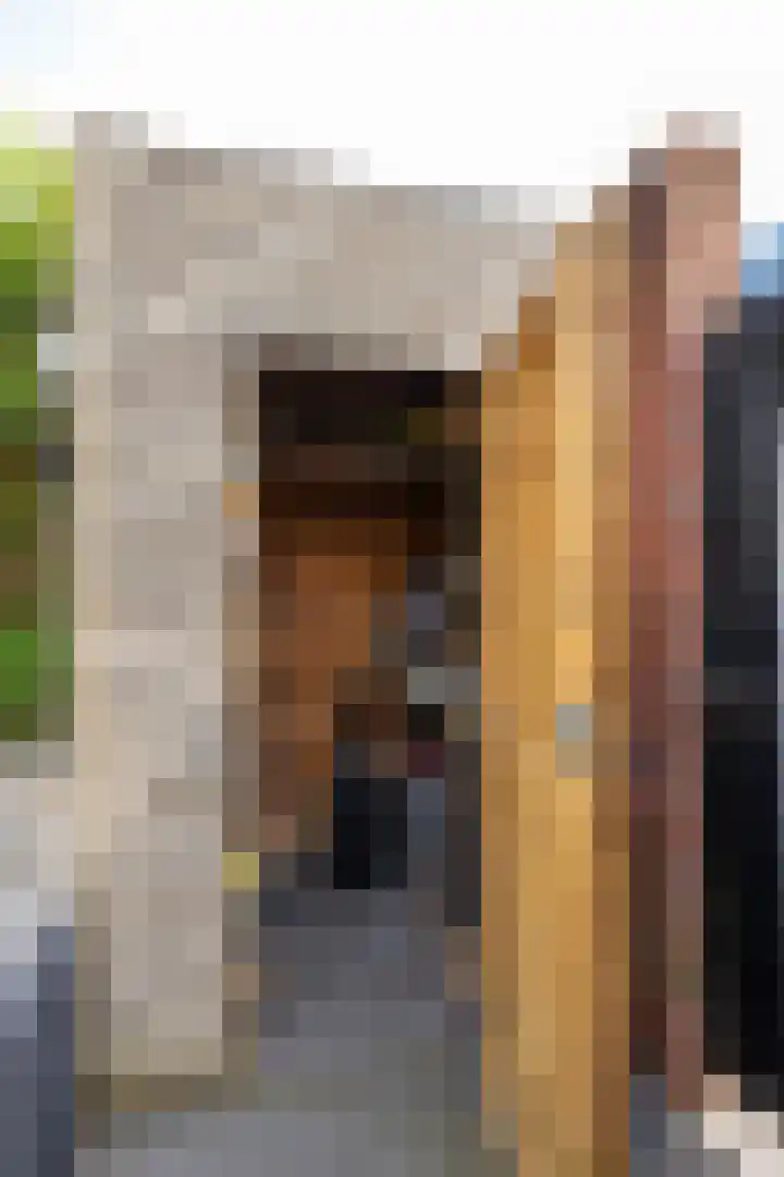 Anna Paulownastraat 1 d Groningen thumbnail 46