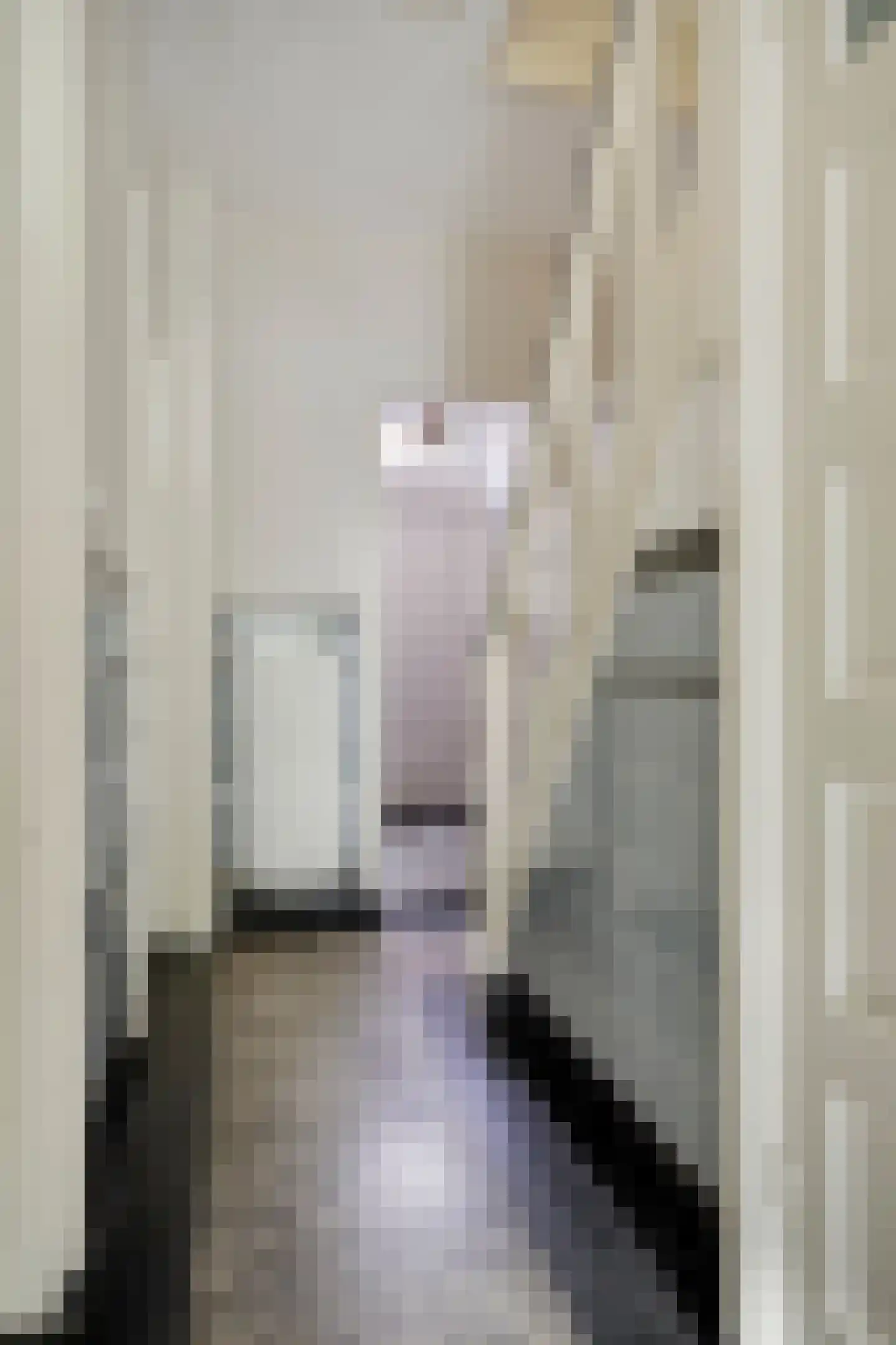 Anna Paulownastraat 10 Eindhoven thumbnail 21