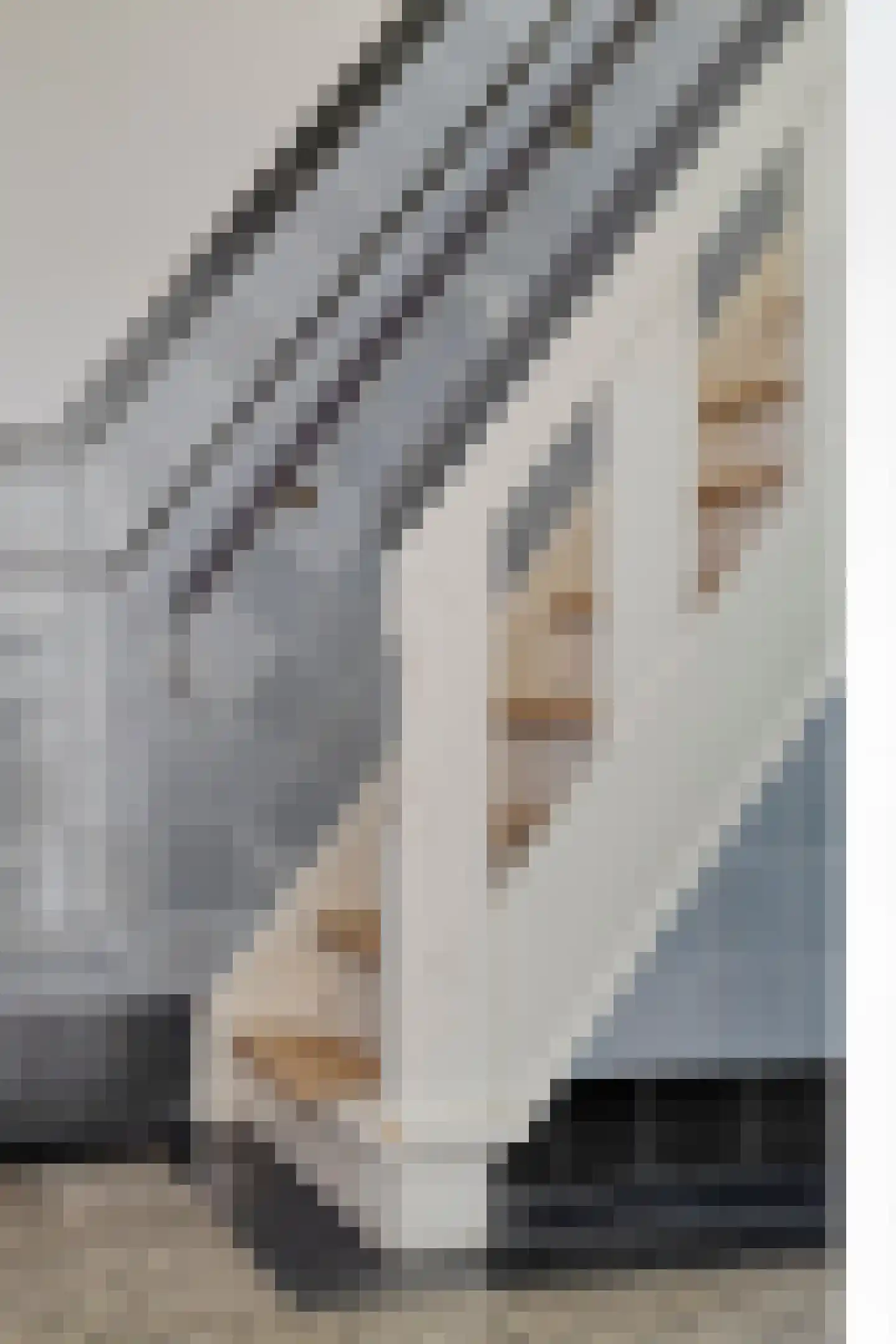 Anna Paulownastraat 10 Eindhoven thumbnail 22