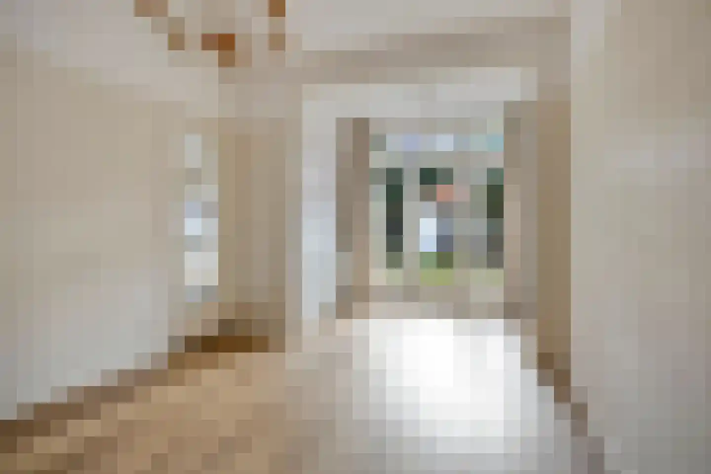 Anna Paulownastraat 10 Eindhoven thumbnail 26