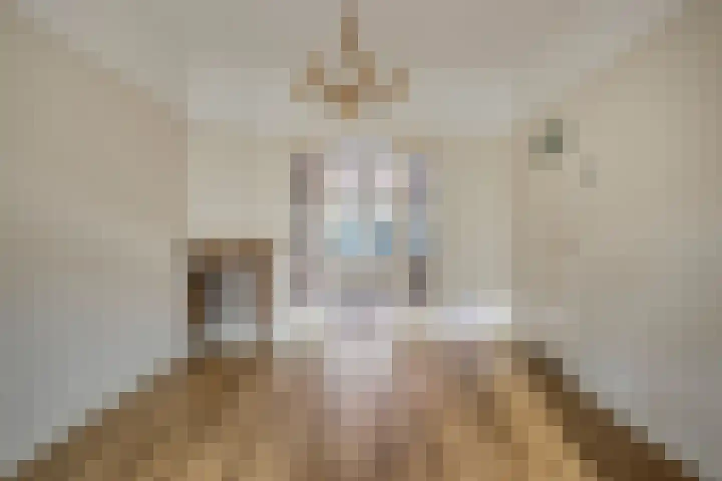 Anna Paulownastraat 10 Eindhoven thumbnail 32