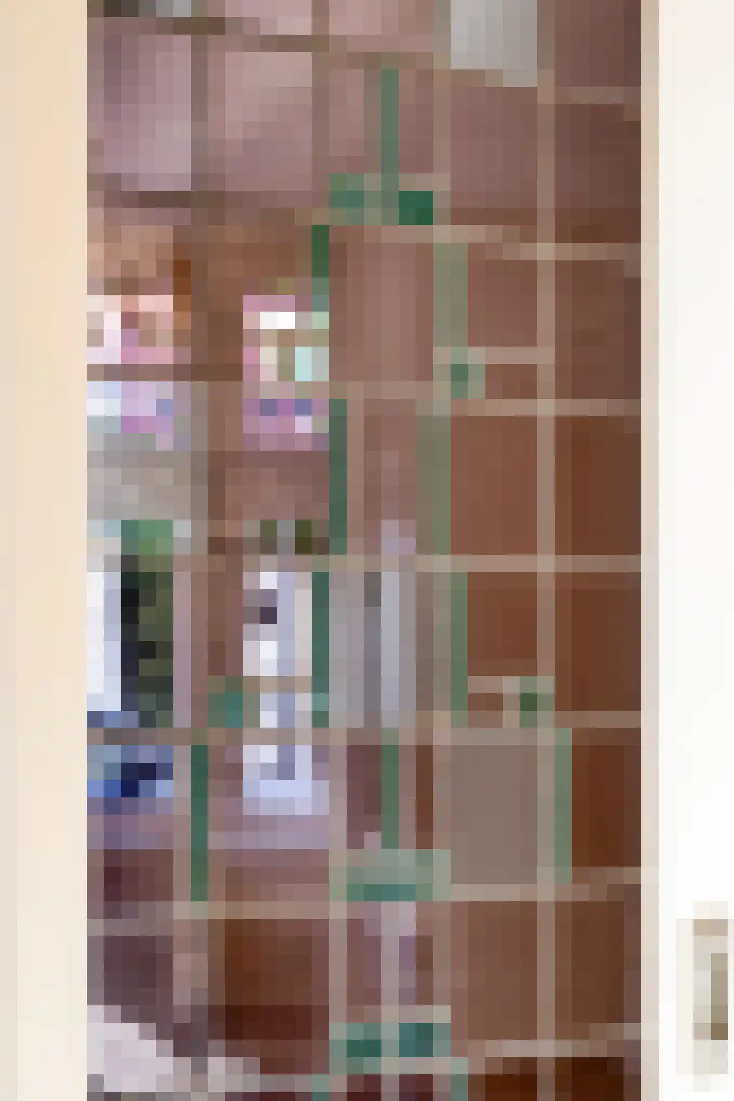 Anna Paulownastraat 10 Eindhoven thumbnail 34