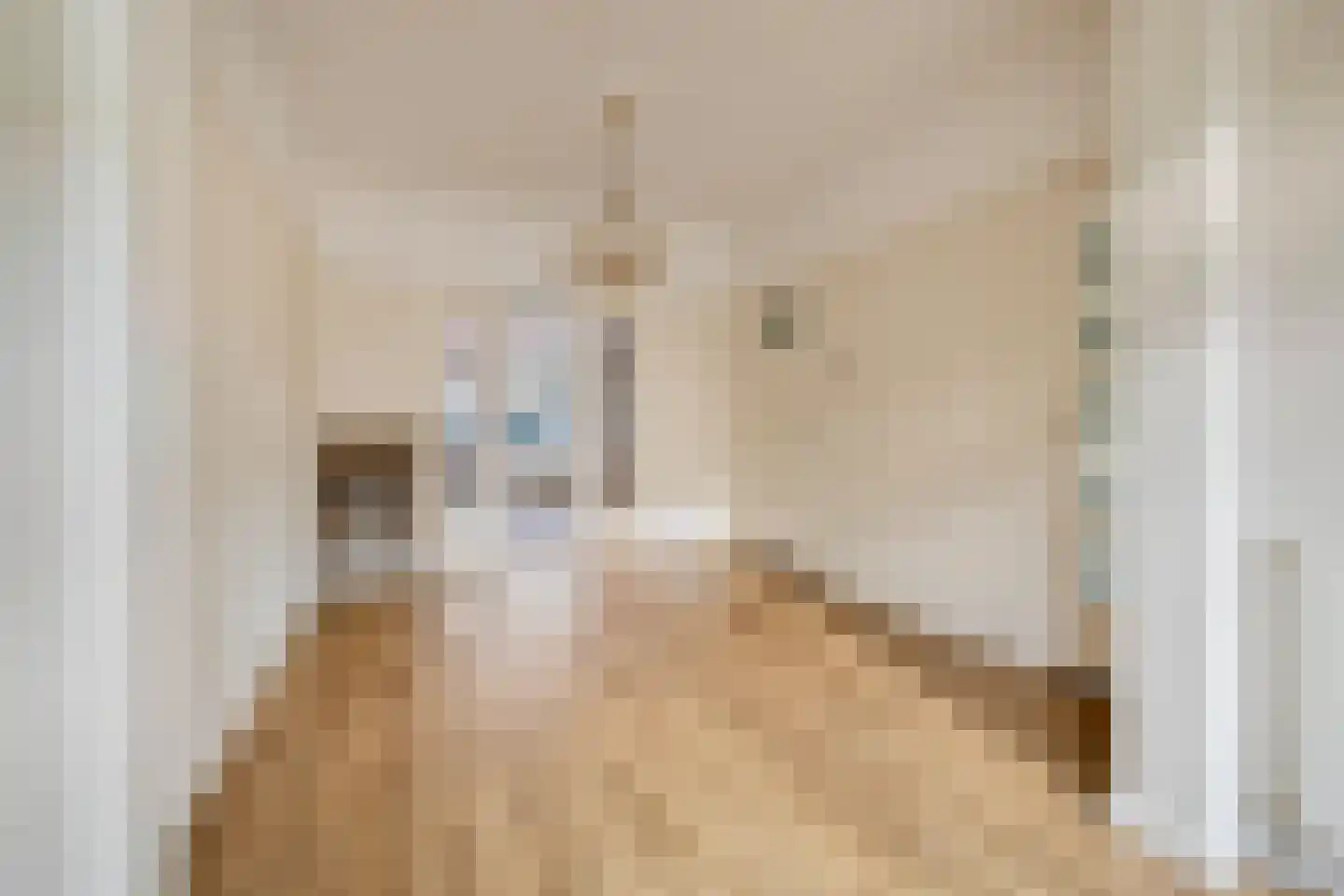 Anna Paulownastraat 10 Eindhoven thumbnail 4