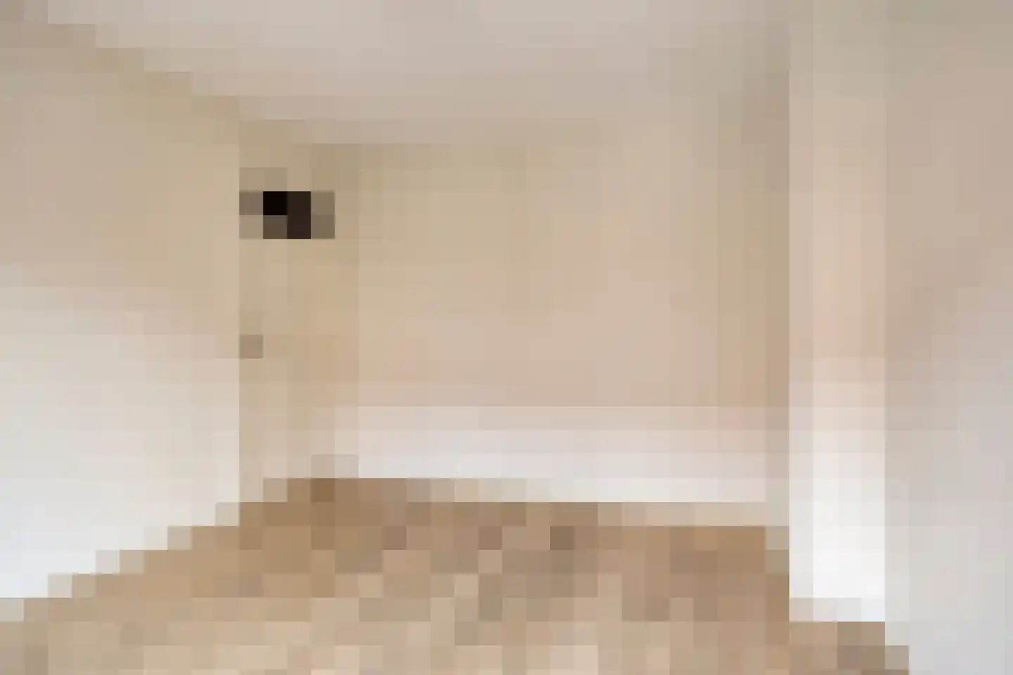 Anna Paulownastraat 10 Eindhoven thumbnail 46