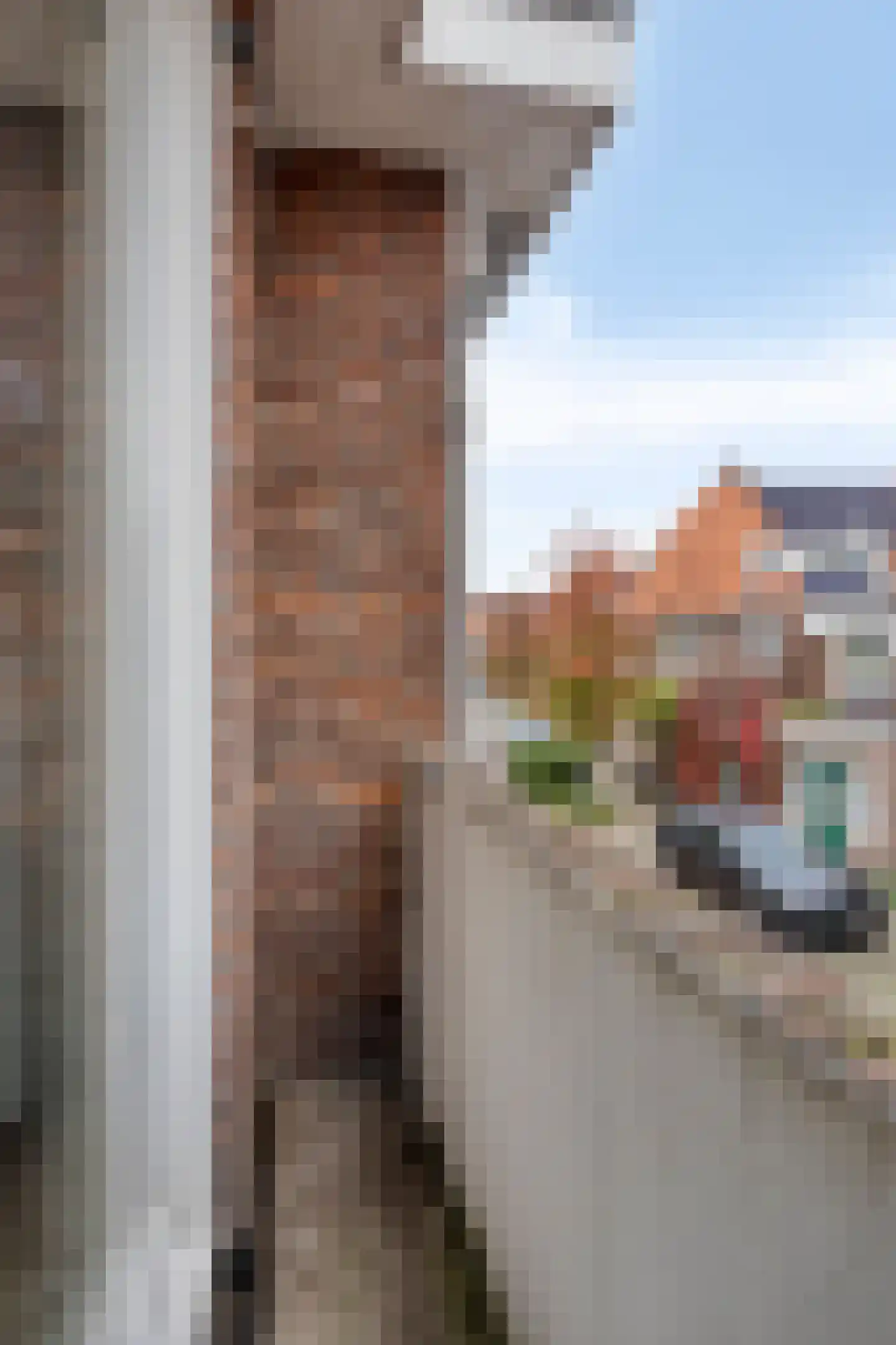 Anna Paulownastraat 10 Eindhoven thumbnail 48