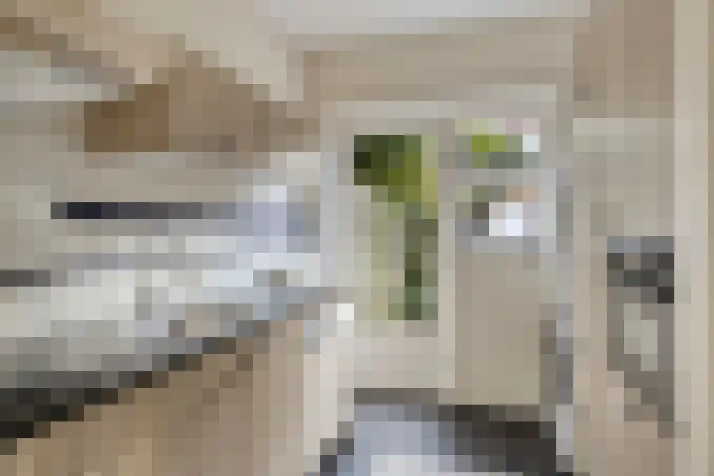 Anna Paulownastraat 10 Eindhoven thumbnail 5