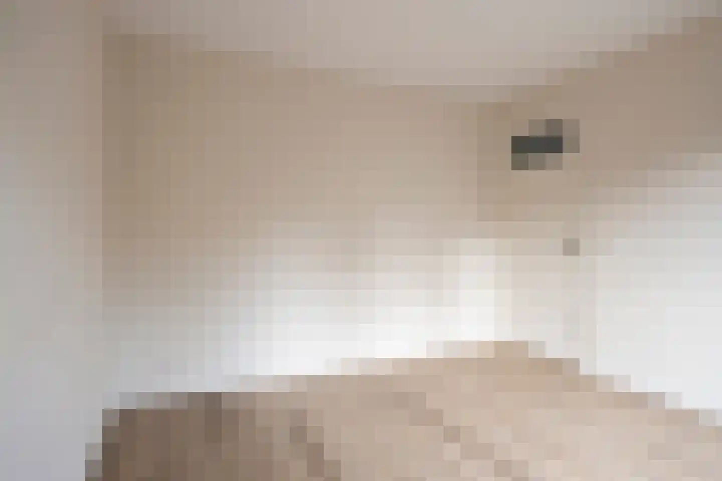 Anna Paulownastraat 10 Eindhoven thumbnail 52