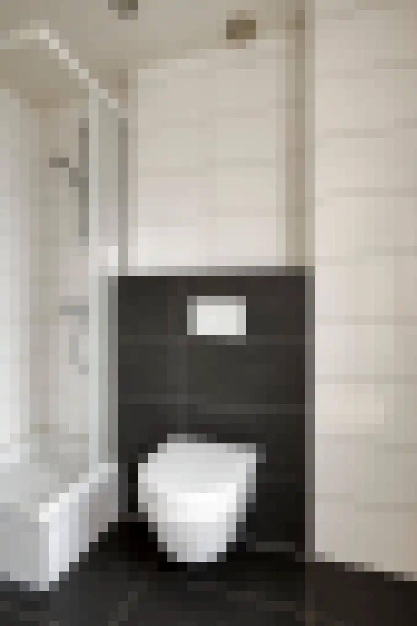 Anna Paulownastraat 10 Eindhoven thumbnail 57