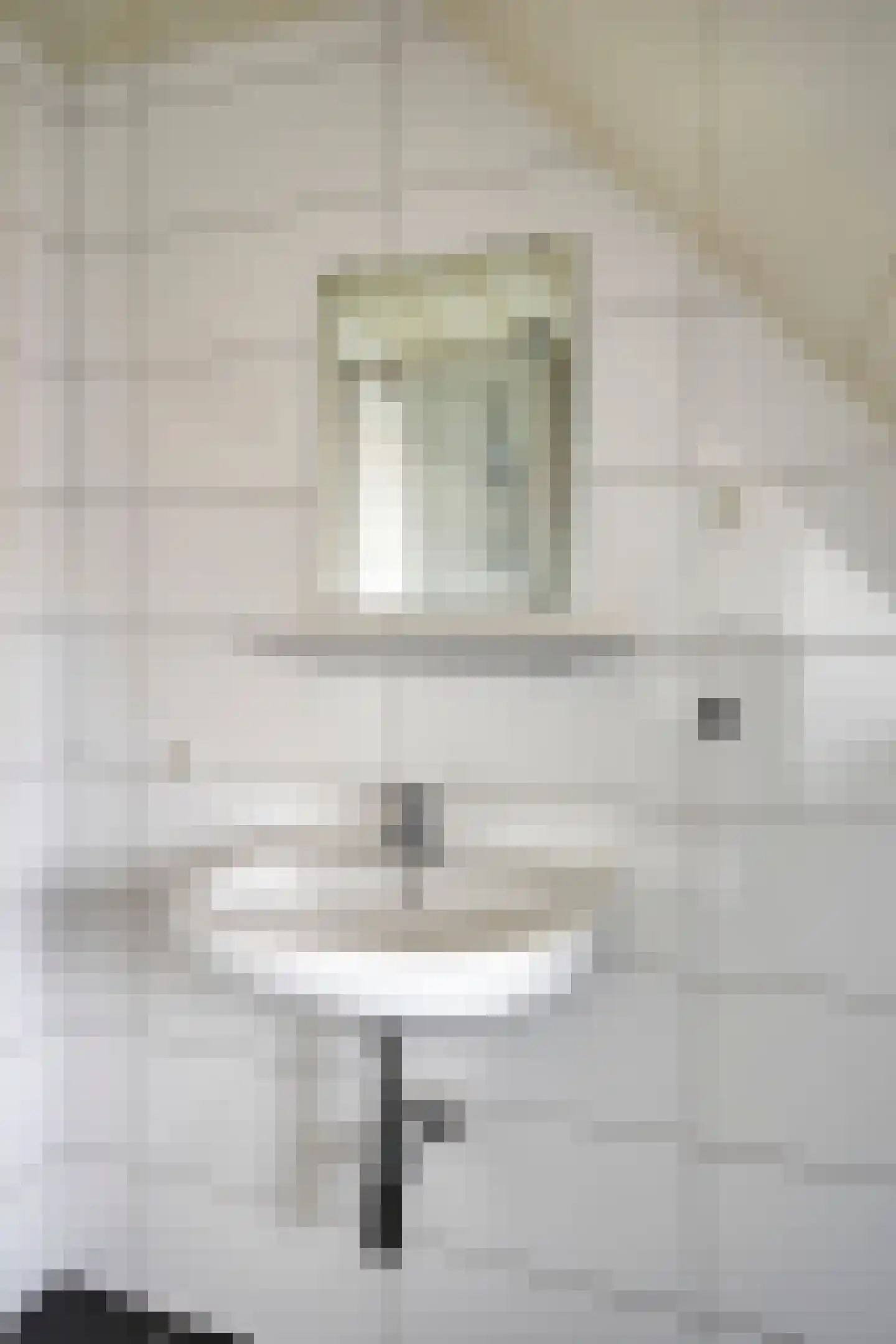 Anna Paulownastraat 10 Eindhoven thumbnail 68