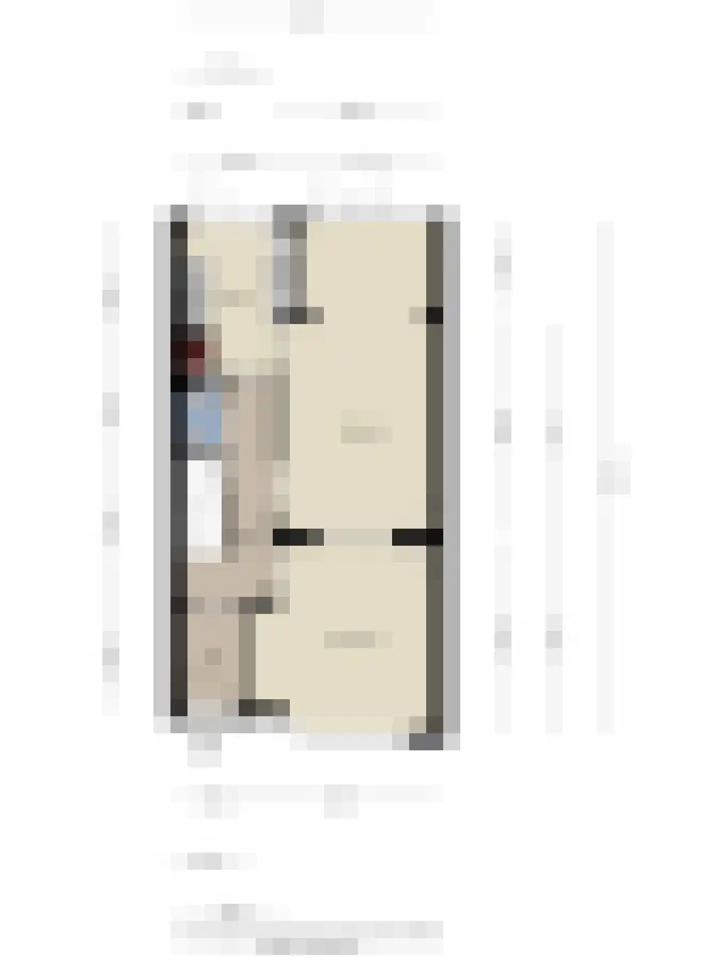Anna Paulownastraat 10 Eindhoven thumbnail 84