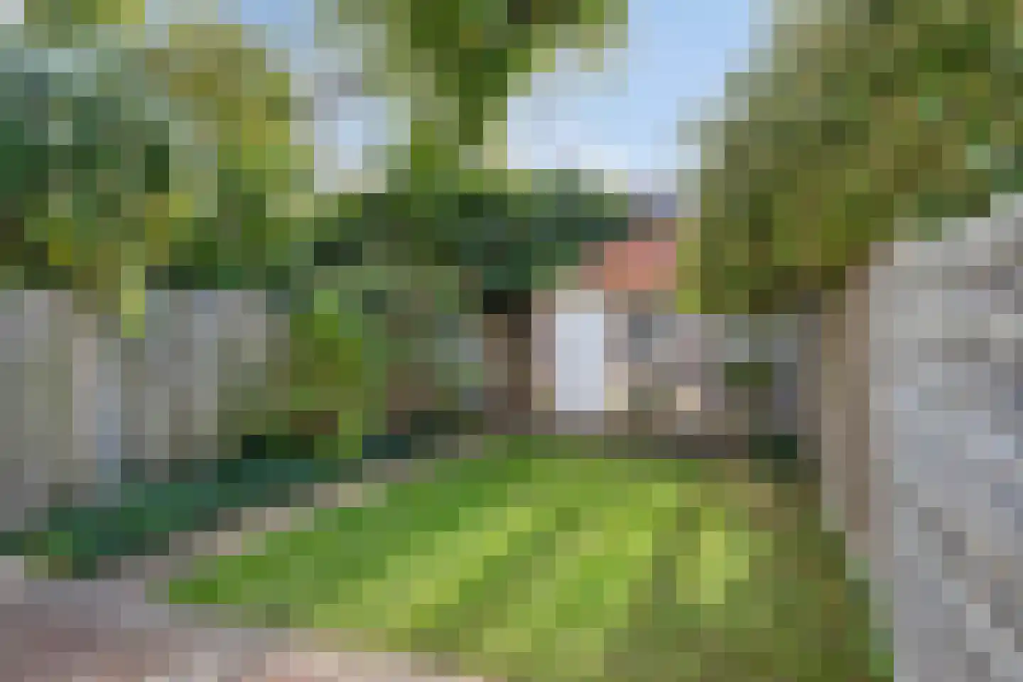 Anna Paulownastraat 10 Eindhoven thumbnail 9