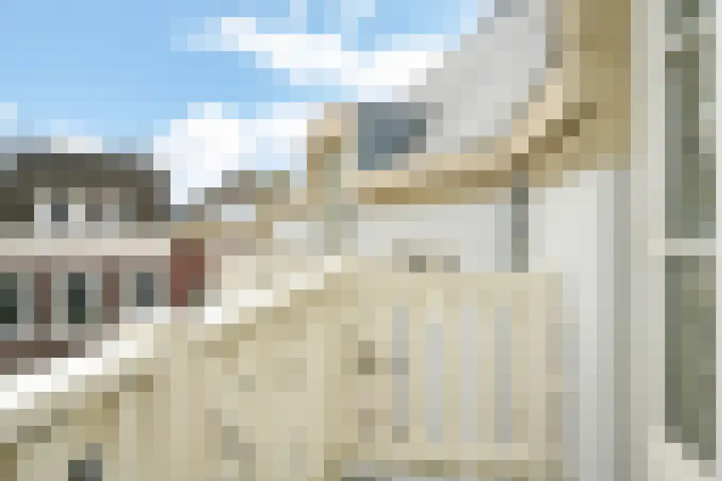 Anna Paulownastraat 103 C Den Haag thumbnail 14