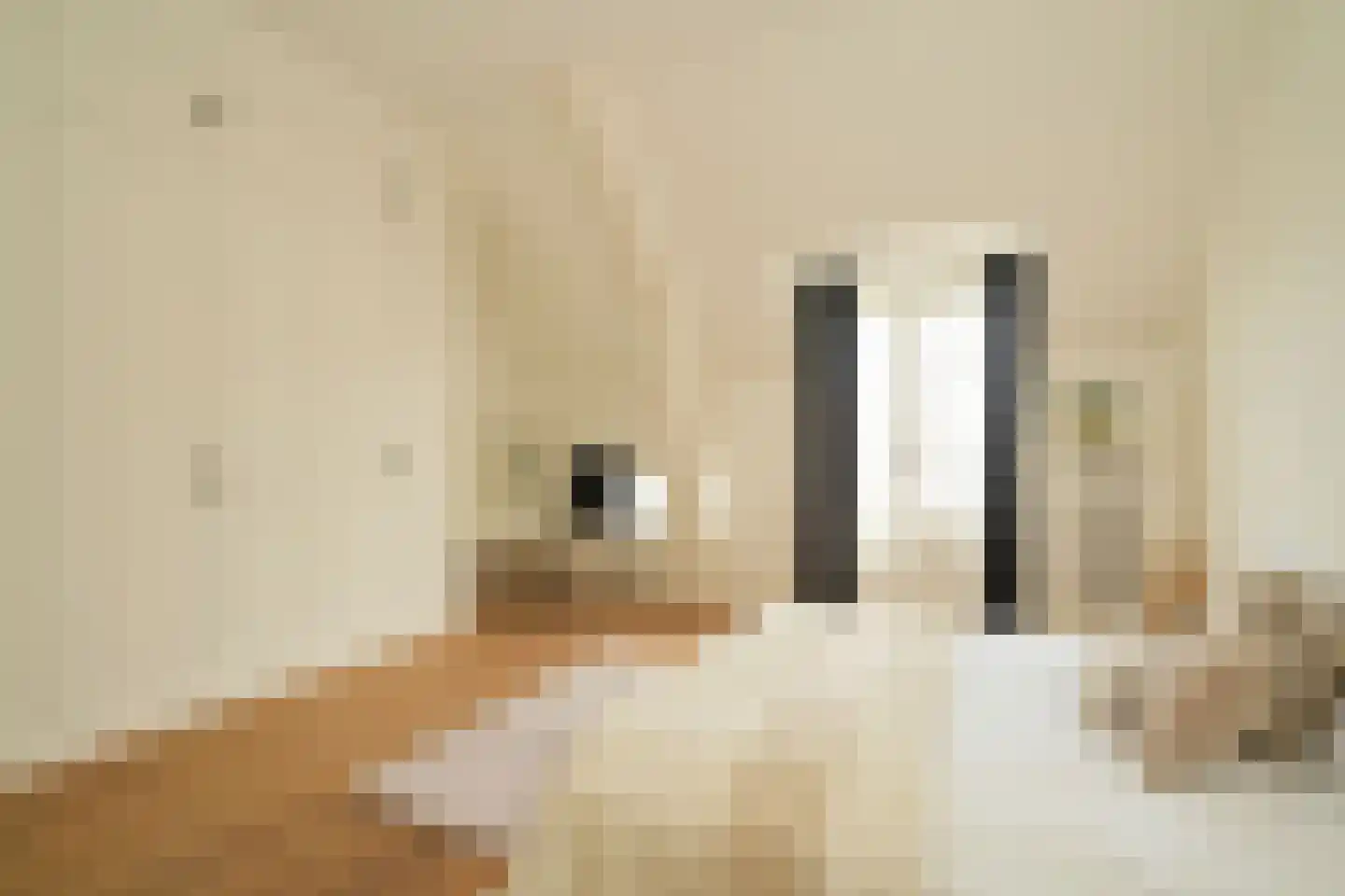 Anna Paulownastraat 103 C Den Haag thumbnail 16