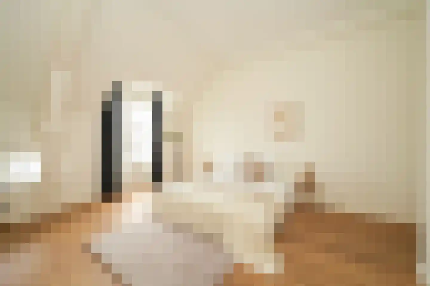 Anna Paulownastraat 103 C Den Haag thumbnail 17