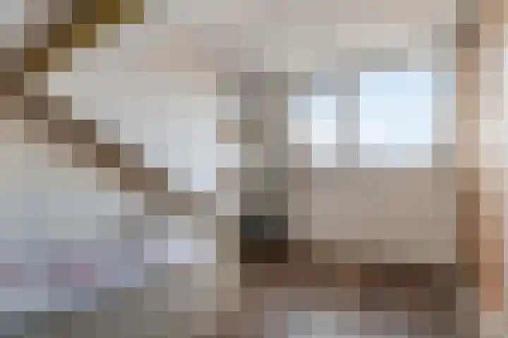 Anna Paulownastraat 11 Dordrecht thumbnail 20
