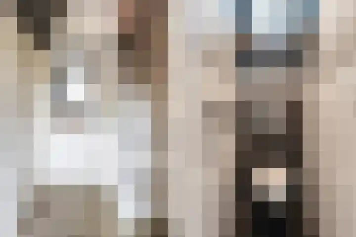 Anna Paulownastraat 11 Dordrecht thumbnail 4