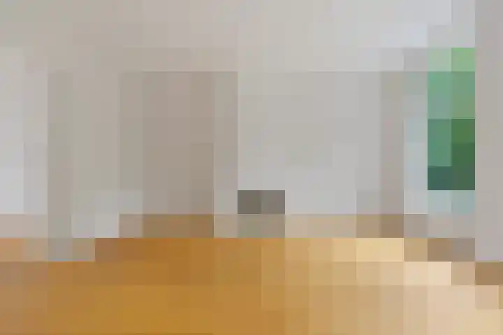 Anna Paulownastraat 111 A Den Haag thumbnail 11