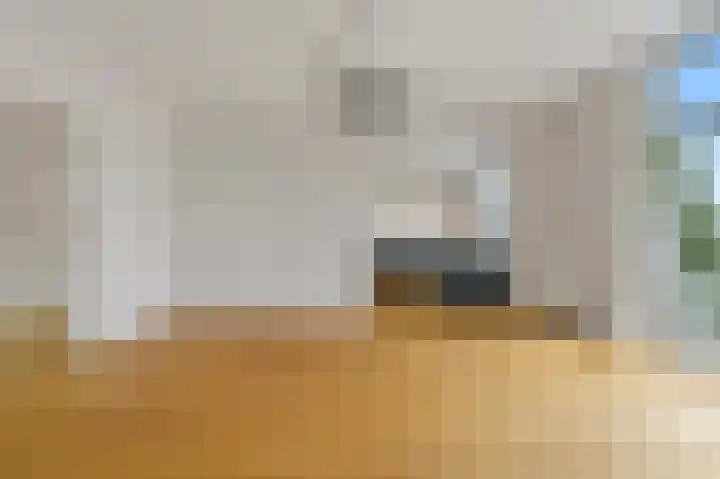 Anna Paulownastraat 111 A Den Haag thumbnail 16