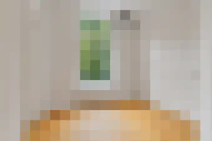 Anna Paulownastraat 111 A Den Haag thumbnail 23