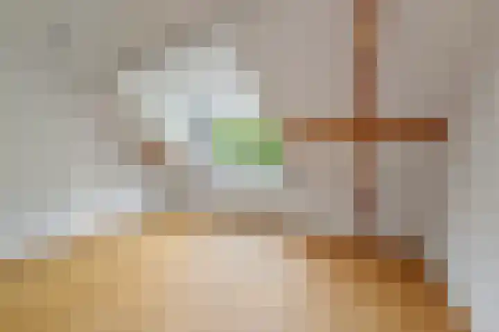 Anna Paulownastraat 111 A Den Haag thumbnail 31