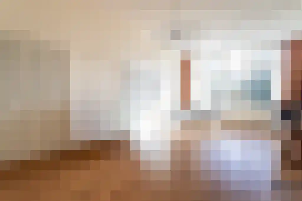 Anna Paulownastraat 113 B Den Haag thumbnail 11
