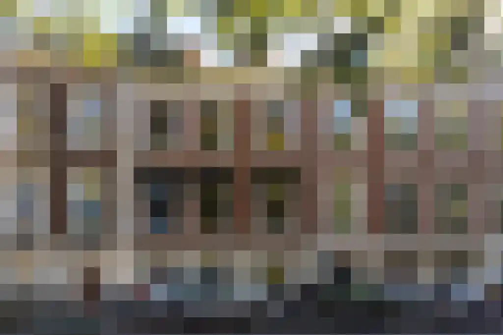 Anna Paulownastraat 113 B Den Haag thumbnail 12