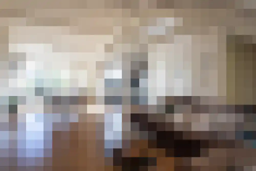 Anna Paulownastraat 113 B Den Haag thumbnail 8