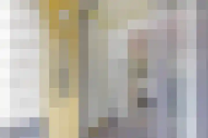 Anna Paulownastraat 14 B Den Haag thumbnail 5