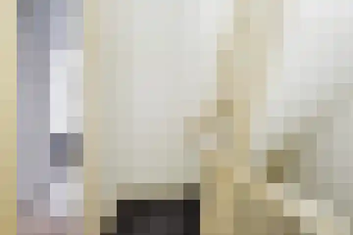 Anna Paulownastraat 14 B Den Haag thumbnail 6