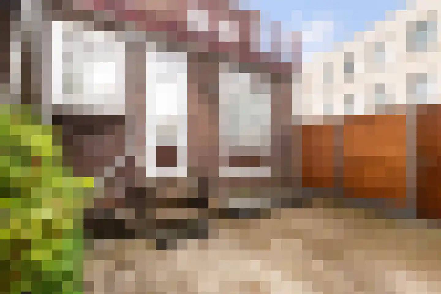 Anna Paulownastraat 15 Dordrecht thumbnail 19