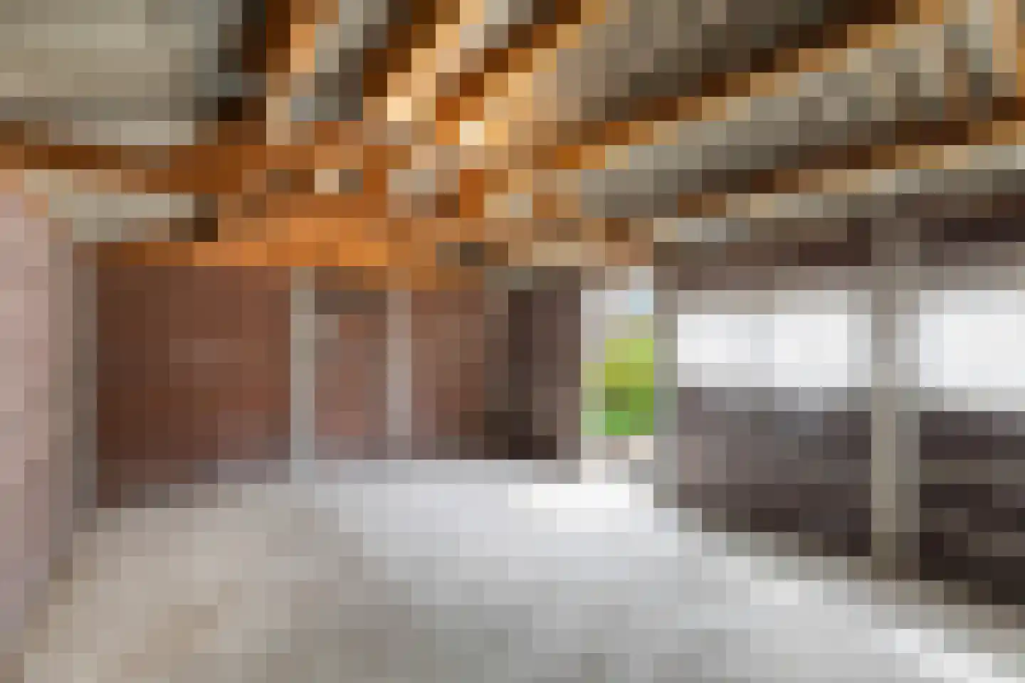 Anna Paulownastraat 15 Dordrecht thumbnail 36