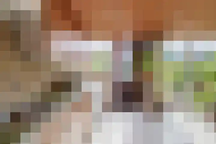 Anna Paulownastraat 17 Waddinxveen thumbnail 15