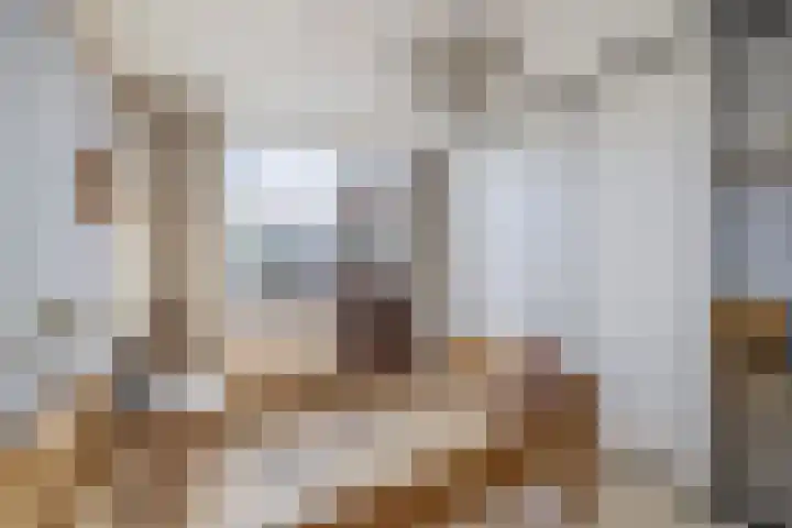 Anna Paulownastraat 17 Waddinxveen thumbnail 23