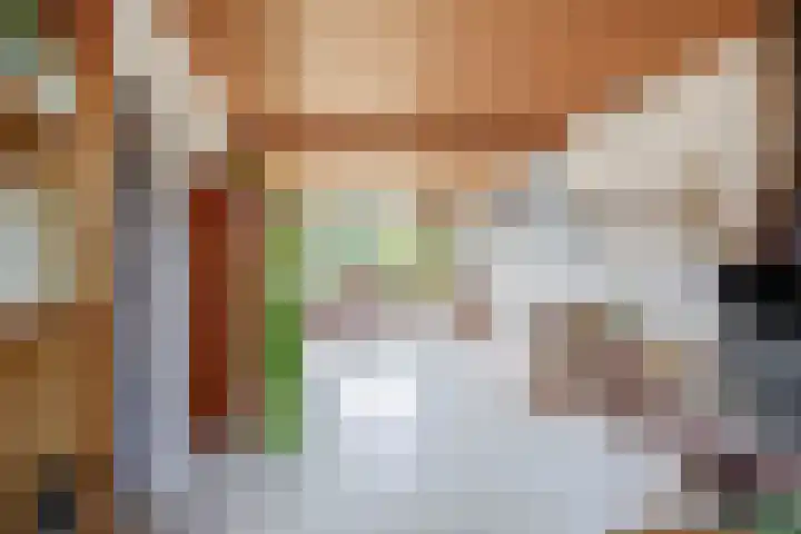 Anna Paulownastraat 17 Waddinxveen thumbnail 8