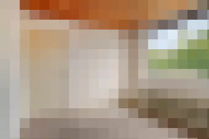 Anna Paulownastraat 18 Weert thumbnail 18
