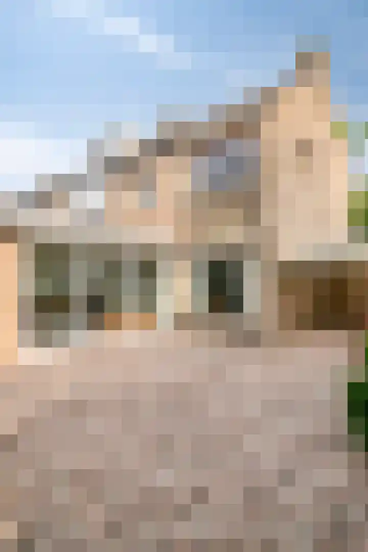 Anna Paulownastraat 18 Weert thumbnail 28