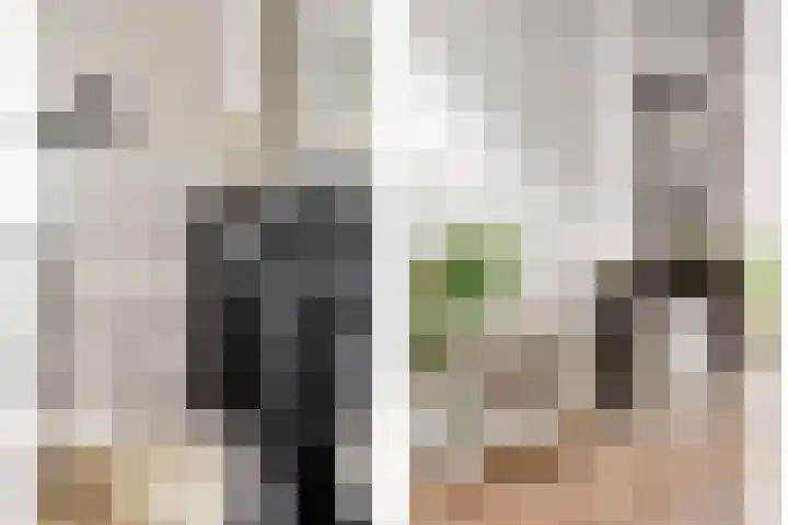 Anna Paulownastraat 19 Den Haag thumbnail 27