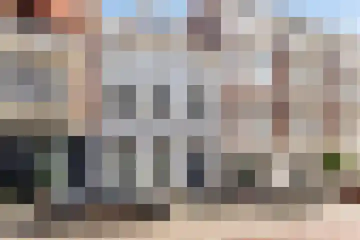 Anna Paulownastraat 19 Den Haag thumbnail 5
