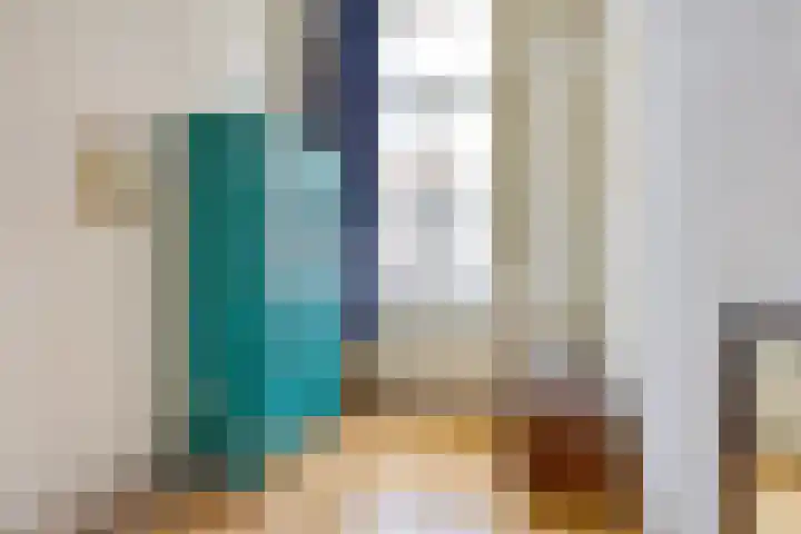 Anna Paulownastraat 19 Den Haag thumbnail 54