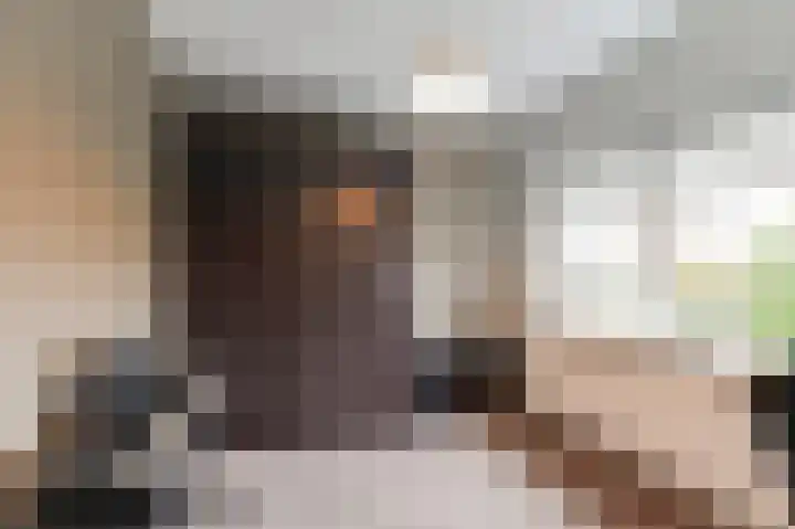 Anna Paulownastraat 20 Geldermalsen thumbnail 13