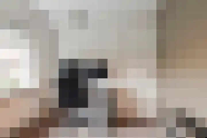 Anna Paulownastraat 20 Geldermalsen thumbnail 14