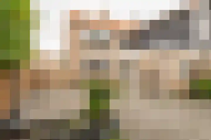 Anna Paulownastraat 20 Geldermalsen thumbnail 22